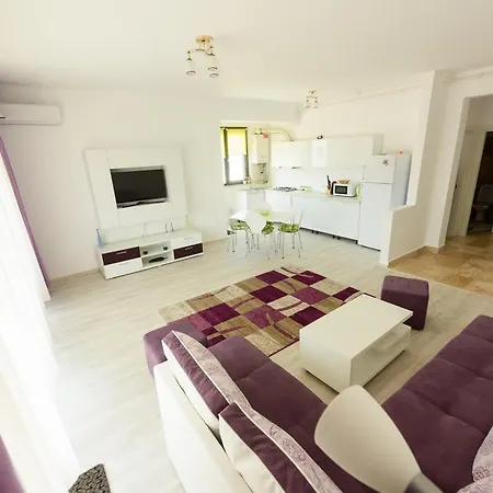 Purple Sun Apartment Navodari
